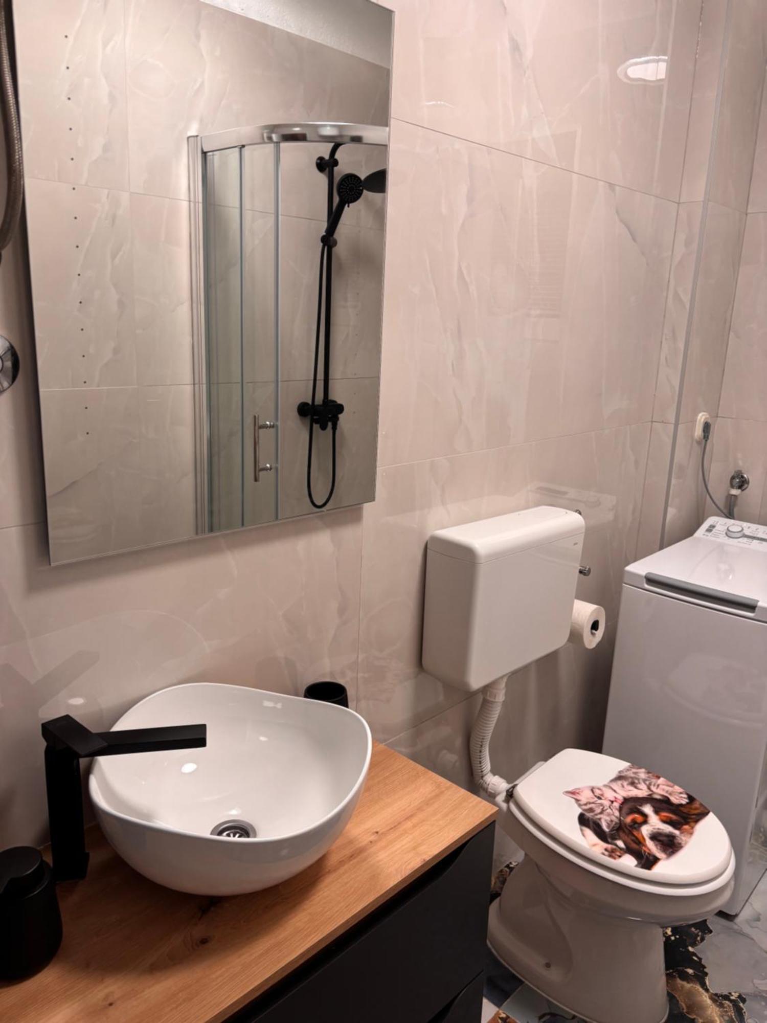 Apartment Sanja Сень Экстерьер фото
